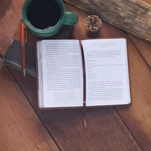 Pocket Size Christian Devotional Journal - Gospel Courage: 40 Days to Sharing Your Faith Tawny Brown Devotional